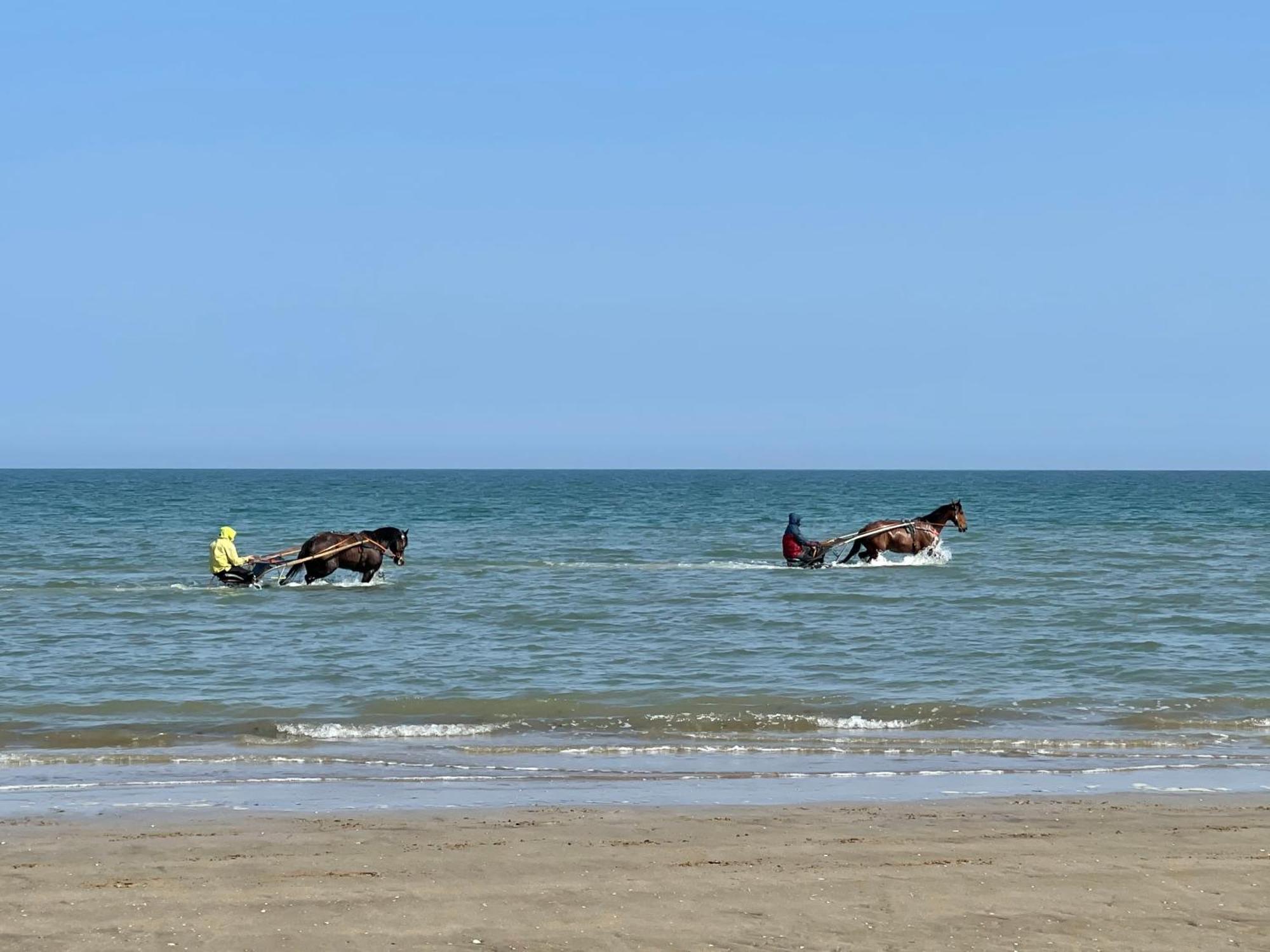 Pressoir De La Mare Superhote 12 Minutes De Cabourg Goustranville Buitenkant foto